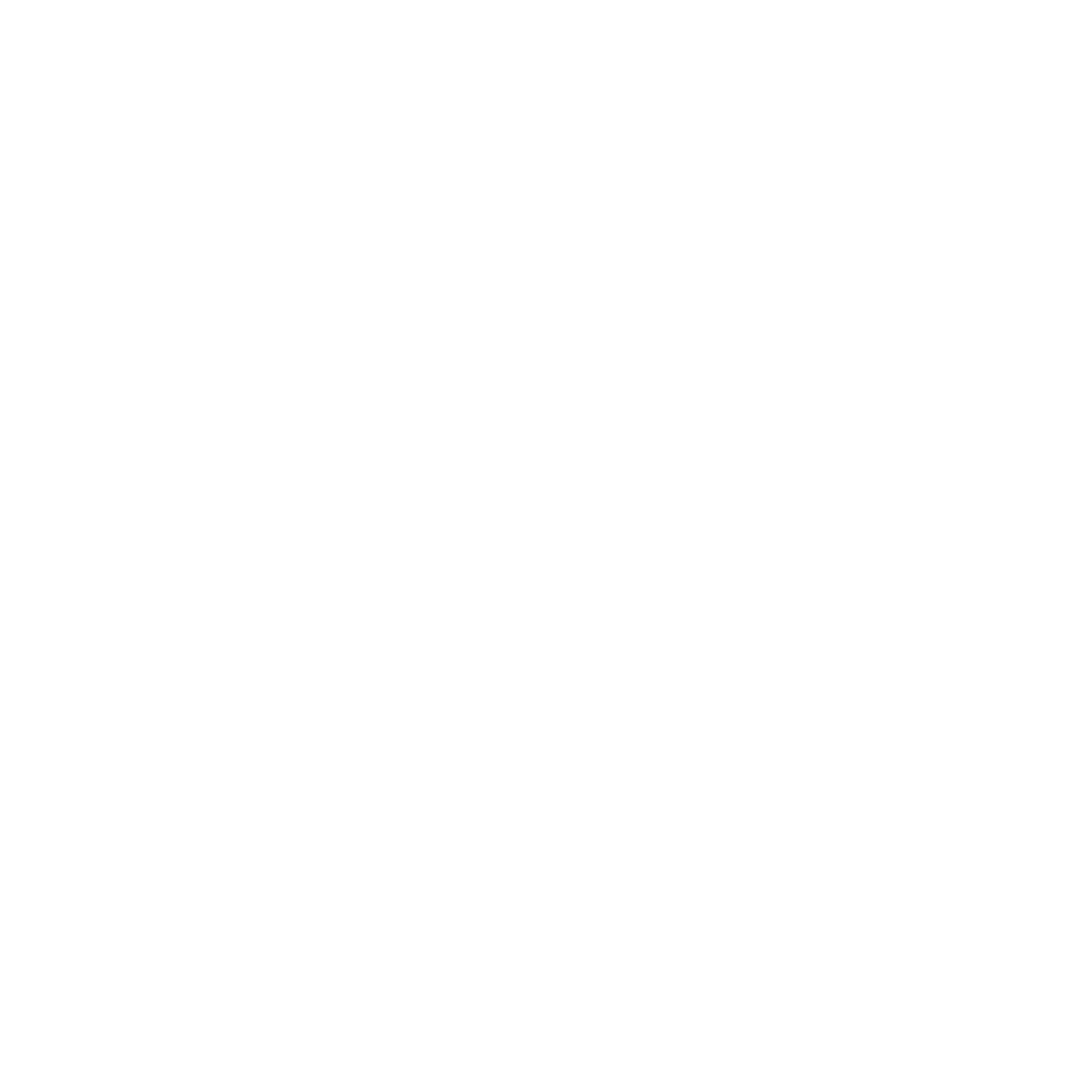 UN Logo